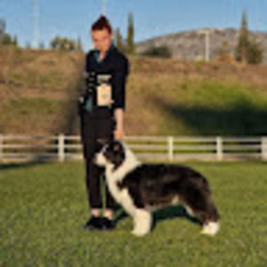 Meet your Posher, Claudia